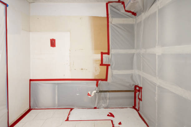 Mold Remediation for Rental Properties in Mountain Home, NC