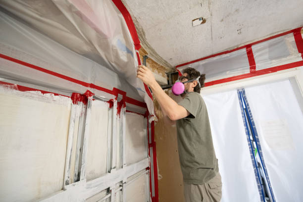 Best Mold Prevention Services  in Mountain Home, NC