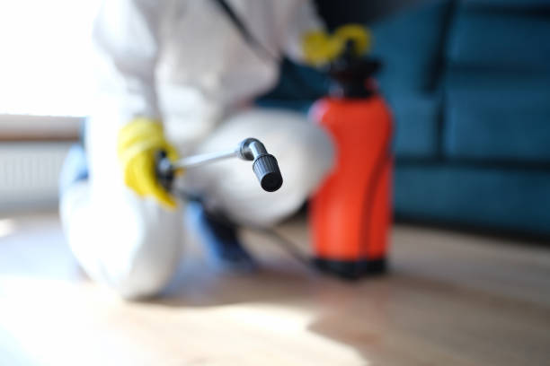 Best Commercial Mold Inspection  in Mountain Home, NC