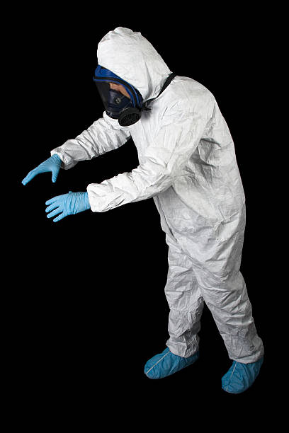 Best Basement Mold Removal  in Mountain Home, NC