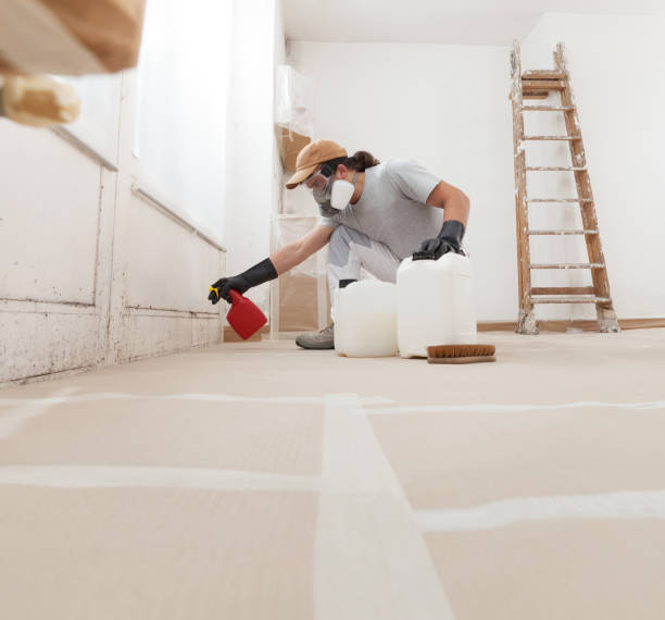 Best Air Quality Testing for Mold Spores  in Mountain Home, NC